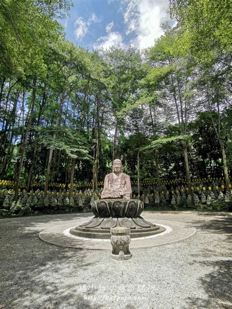 禪機山 仙佛寺|南投國姓）禪機山仙佛寺/日式庭園/古色古香/巨大蓮花。